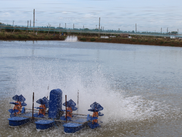 A17c9aaa61e80a1bf71d0d850af4e5baa9800bbd