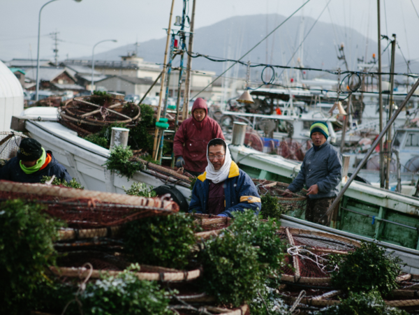 A17c9aaa61e80a1bf71d0d850af4e5baa9800bbd