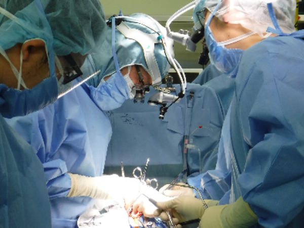 A17c9aaa61e80a1bf71d0d850af4e5baa9800bbd