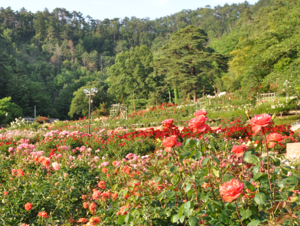 A17c9aaa61e80a1bf71d0d850af4e5baa9800bbd