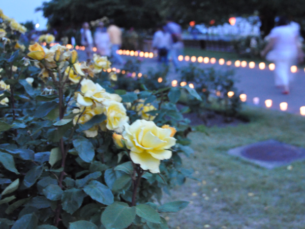 A17c9aaa61e80a1bf71d0d850af4e5baa9800bbd