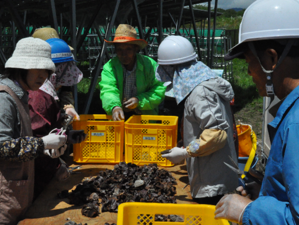 A17c9aaa61e80a1bf71d0d850af4e5baa9800bbd