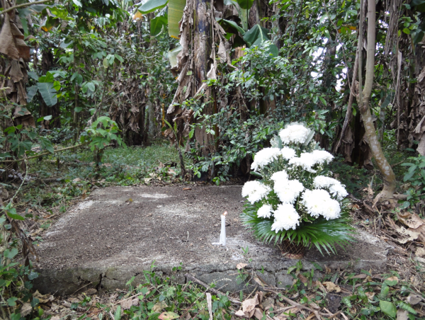 A17c9aaa61e80a1bf71d0d850af4e5baa9800bbd