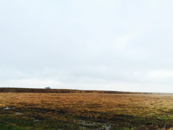 A17c9aaa61e80a1bf71d0d850af4e5baa9800bbd