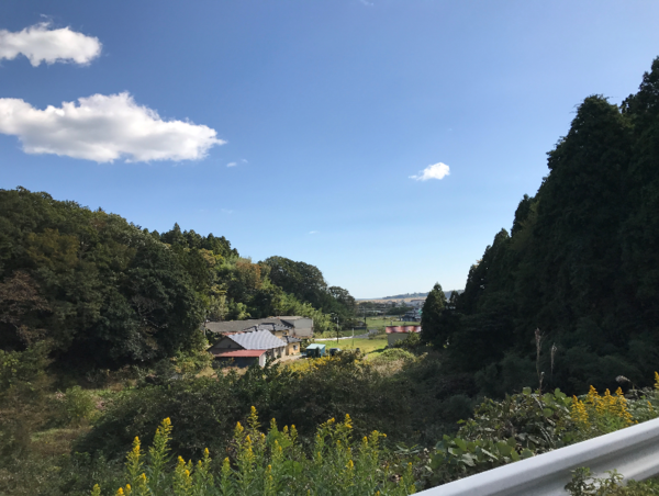 A17c9aaa61e80a1bf71d0d850af4e5baa9800bbd