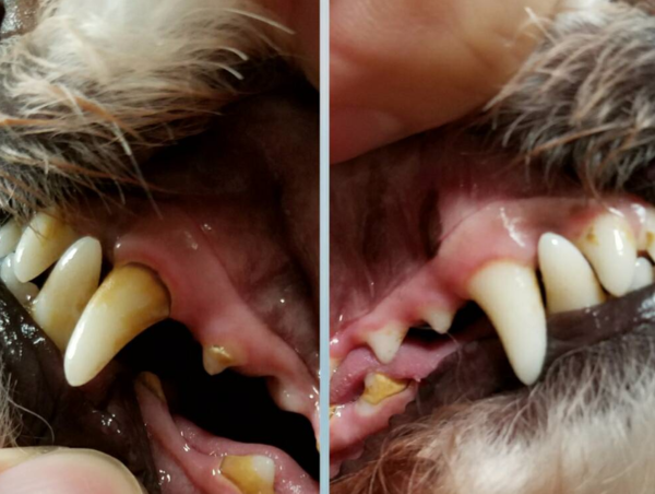 A17c9aaa61e80a1bf71d0d850af4e5baa9800bbd