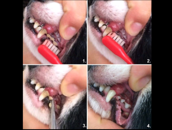 A17c9aaa61e80a1bf71d0d850af4e5baa9800bbd