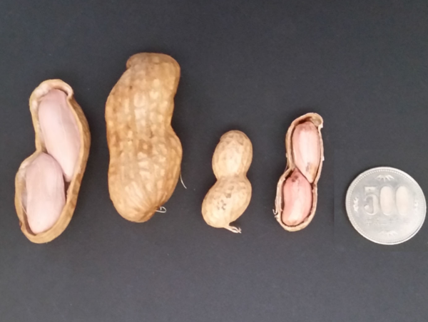 A17c9aaa61e80a1bf71d0d850af4e5baa9800bbd