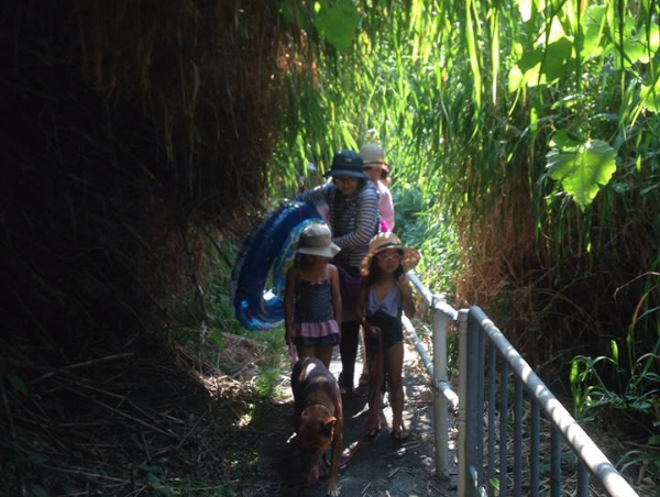 A17c9aaa61e80a1bf71d0d850af4e5baa9800bbd