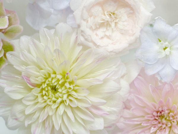 A17c9aaa61e80a1bf71d0d850af4e5baa9800bbd