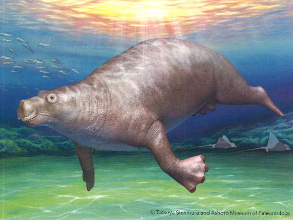 A17c9aaa61e80a1bf71d0d850af4e5baa9800bbd