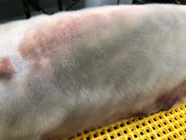 A17c9aaa61e80a1bf71d0d850af4e5baa9800bbd