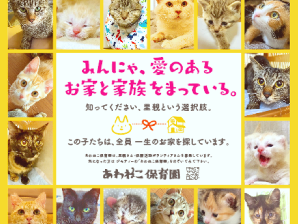 A17c9aaa61e80a1bf71d0d850af4e5baa9800bbd