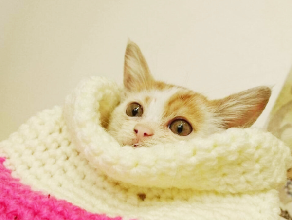 A17c9aaa61e80a1bf71d0d850af4e5baa9800bbd