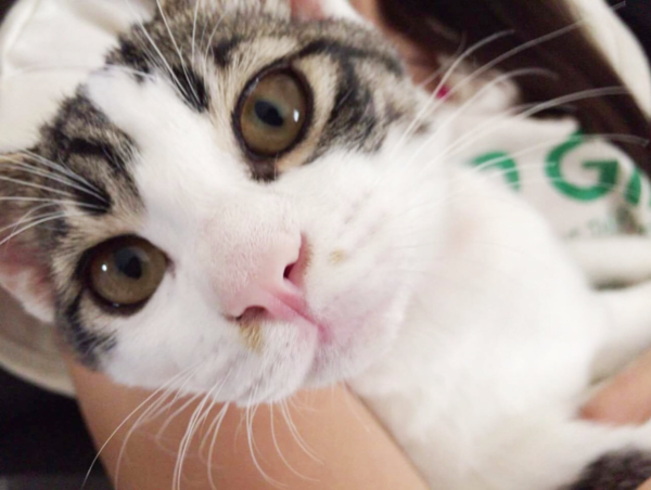 A17c9aaa61e80a1bf71d0d850af4e5baa9800bbd