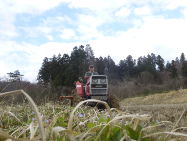 A17c9aaa61e80a1bf71d0d850af4e5baa9800bbd