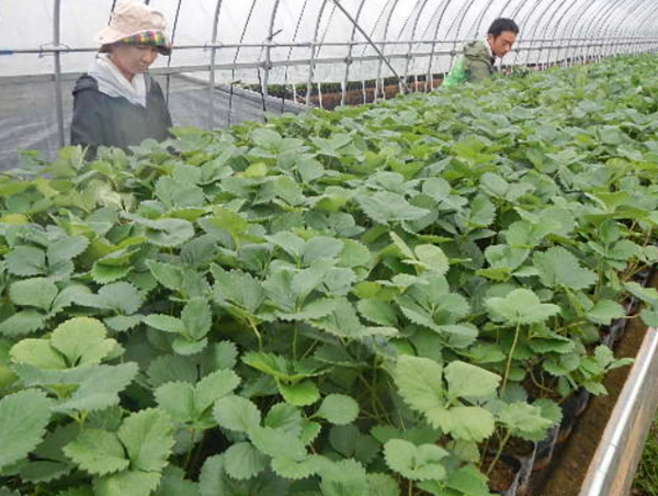 A17c9aaa61e80a1bf71d0d850af4e5baa9800bbd