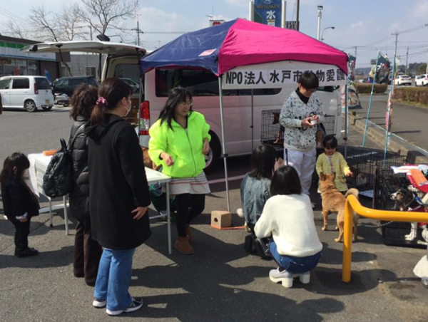 A17c9aaa61e80a1bf71d0d850af4e5baa9800bbd