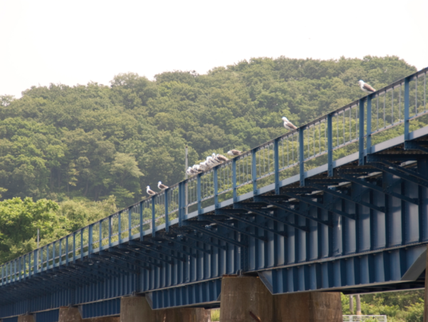 A17c9aaa61e80a1bf71d0d850af4e5baa9800bbd