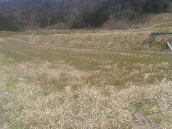 A17c9aaa61e80a1bf71d0d850af4e5baa9800bbd