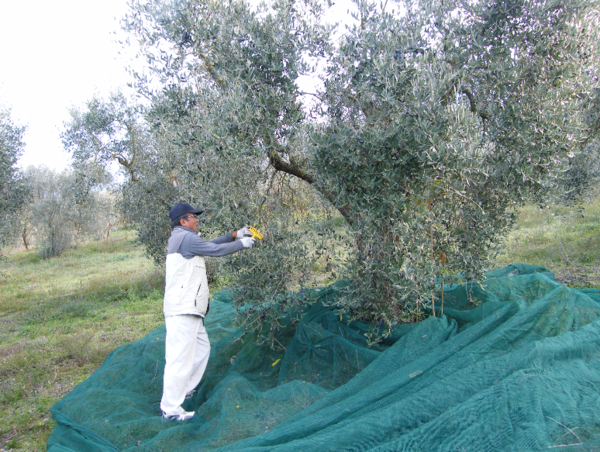 A17c9aaa61e80a1bf71d0d850af4e5baa9800bbd