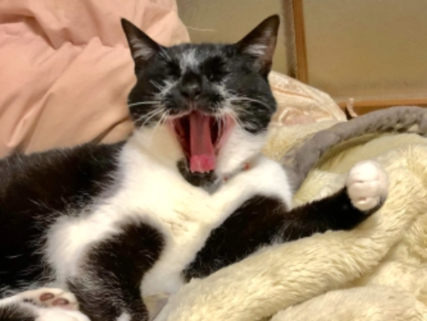 A17c9aaa61e80a1bf71d0d850af4e5baa9800bbd