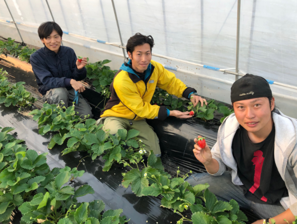 A17c9aaa61e80a1bf71d0d850af4e5baa9800bbd