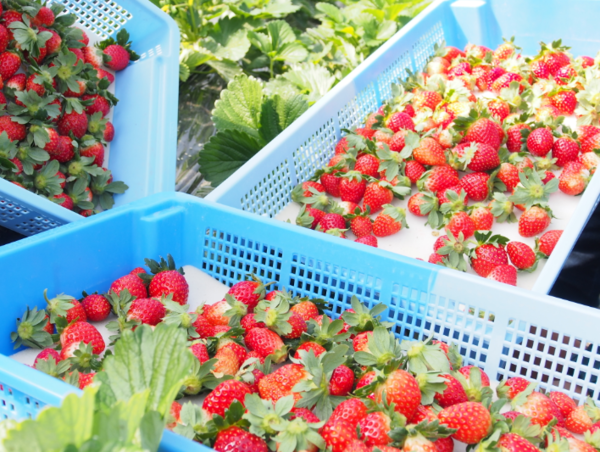 A17c9aaa61e80a1bf71d0d850af4e5baa9800bbd