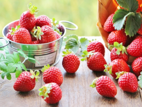 A17c9aaa61e80a1bf71d0d850af4e5baa9800bbd