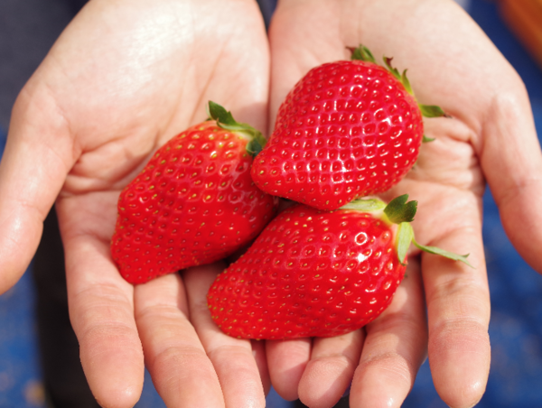 A17c9aaa61e80a1bf71d0d850af4e5baa9800bbd