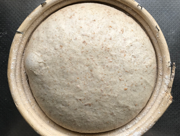 A17c9aaa61e80a1bf71d0d850af4e5baa9800bbd