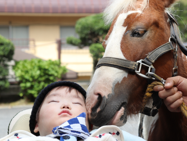 A17c9aaa61e80a1bf71d0d850af4e5baa9800bbd