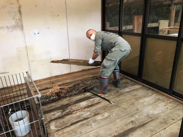 A17c9aaa61e80a1bf71d0d850af4e5baa9800bbd