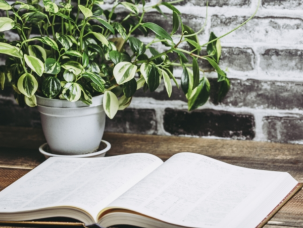 A17c9aaa61e80a1bf71d0d850af4e5baa9800bbd