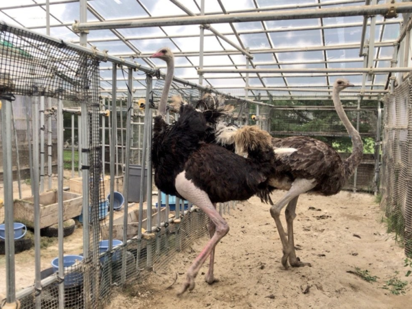 A17c9aaa61e80a1bf71d0d850af4e5baa9800bbd