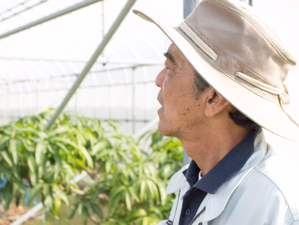 A17c9aaa61e80a1bf71d0d850af4e5baa9800bbd