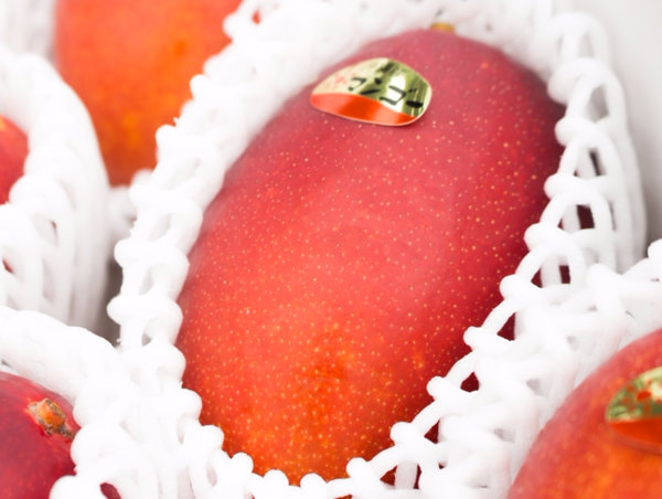 A17c9aaa61e80a1bf71d0d850af4e5baa9800bbd