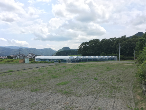 A17c9aaa61e80a1bf71d0d850af4e5baa9800bbd