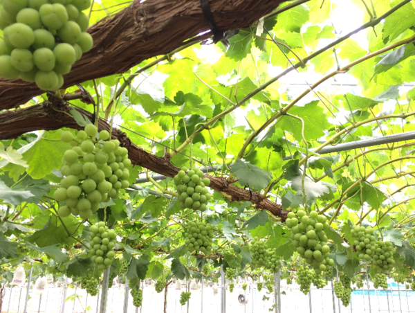 A17c9aaa61e80a1bf71d0d850af4e5baa9800bbd