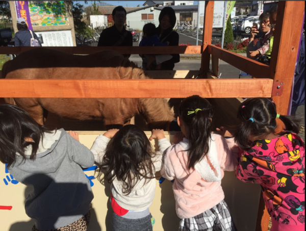 A17c9aaa61e80a1bf71d0d850af4e5baa9800bbd