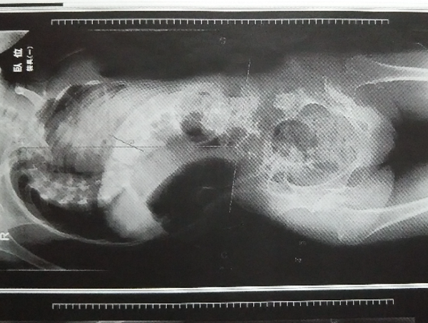 A17c9aaa61e80a1bf71d0d850af4e5baa9800bbd