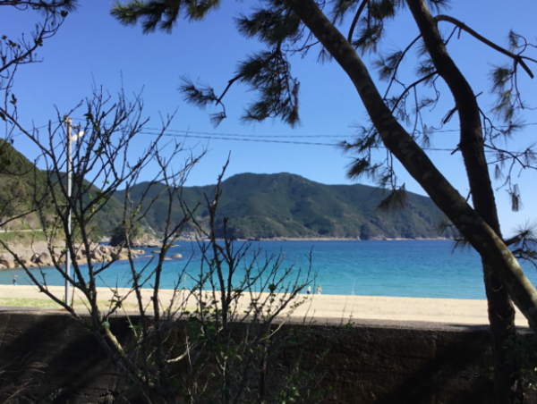 A17c9aaa61e80a1bf71d0d850af4e5baa9800bbd