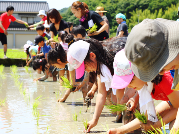 A17c9aaa61e80a1bf71d0d850af4e5baa9800bbd