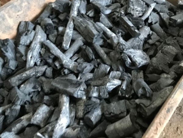 A17c9aaa61e80a1bf71d0d850af4e5baa9800bbd