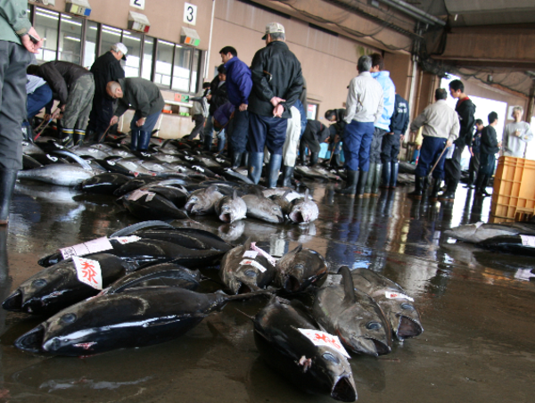 A17c9aaa61e80a1bf71d0d850af4e5baa9800bbd