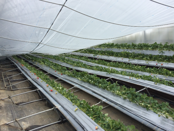 A17c9aaa61e80a1bf71d0d850af4e5baa9800bbd