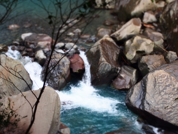 A17c9aaa61e80a1bf71d0d850af4e5baa9800bbd