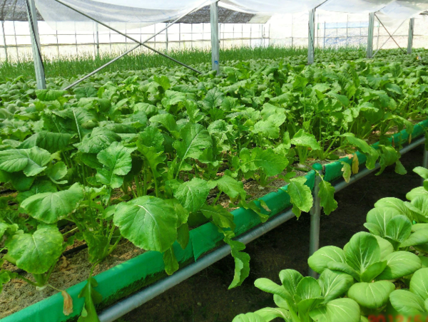 A17c9aaa61e80a1bf71d0d850af4e5baa9800bbd