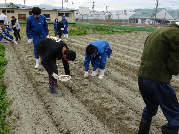 A17c9aaa61e80a1bf71d0d850af4e5baa9800bbd