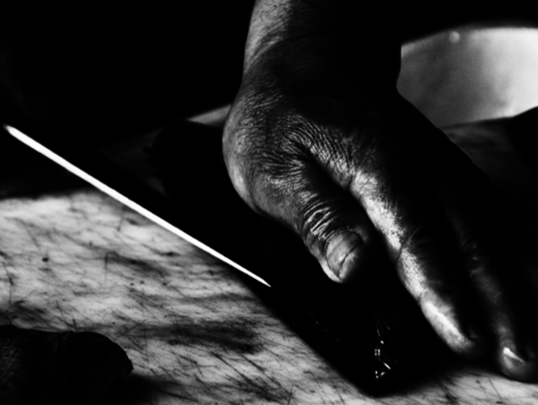 A17c9aaa61e80a1bf71d0d850af4e5baa9800bbd